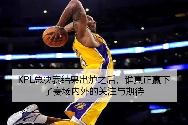 KPL总决赛结果出炉之后，谁真正赢下了赛场内外的关注与期待